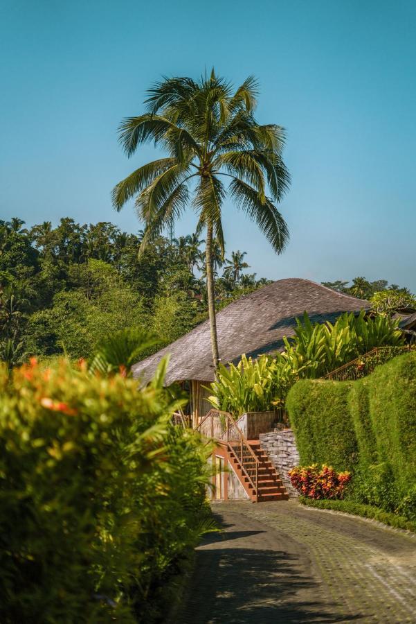 Kanva Ubud Tegallalang  Kültér fotó