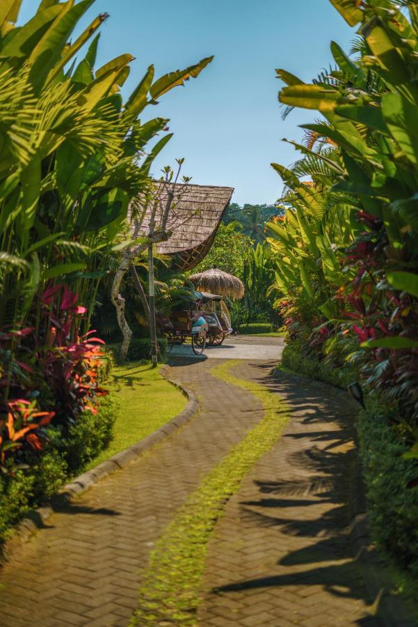 Kanva Ubud Tegallalang  Kültér fotó