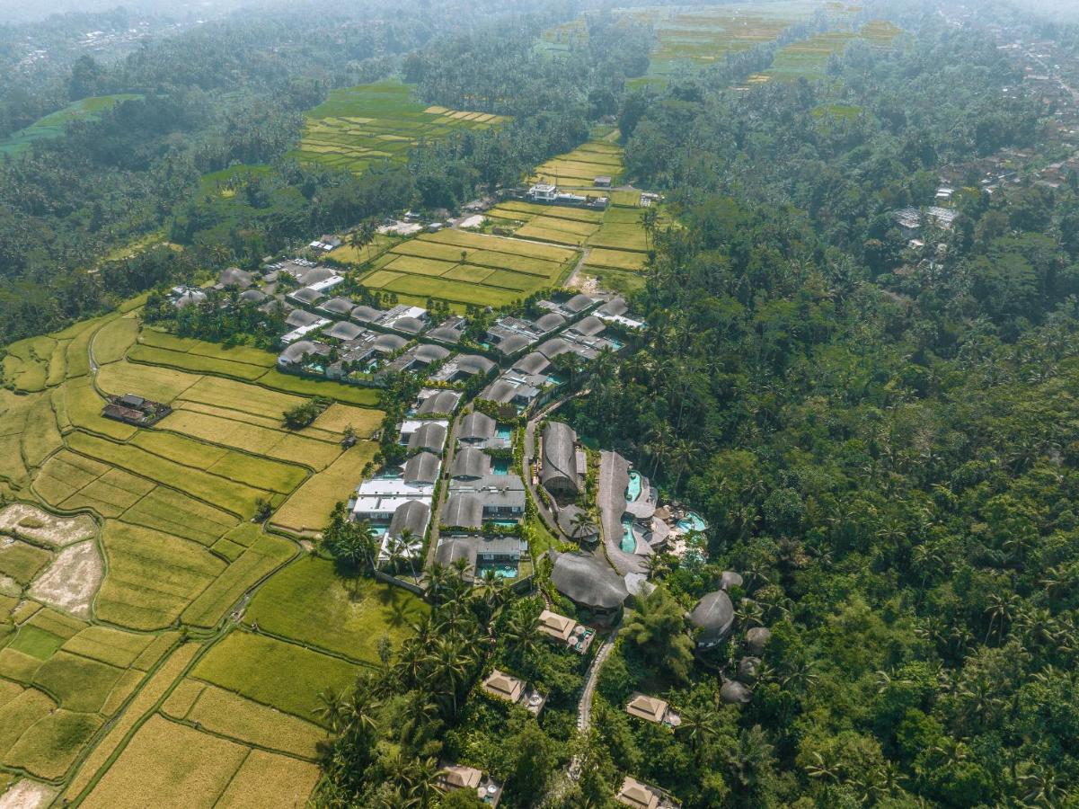 Kanva Ubud Tegallalang  Kültér fotó