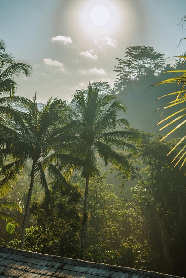 Kanva Ubud Tegallalang  Kültér fotó