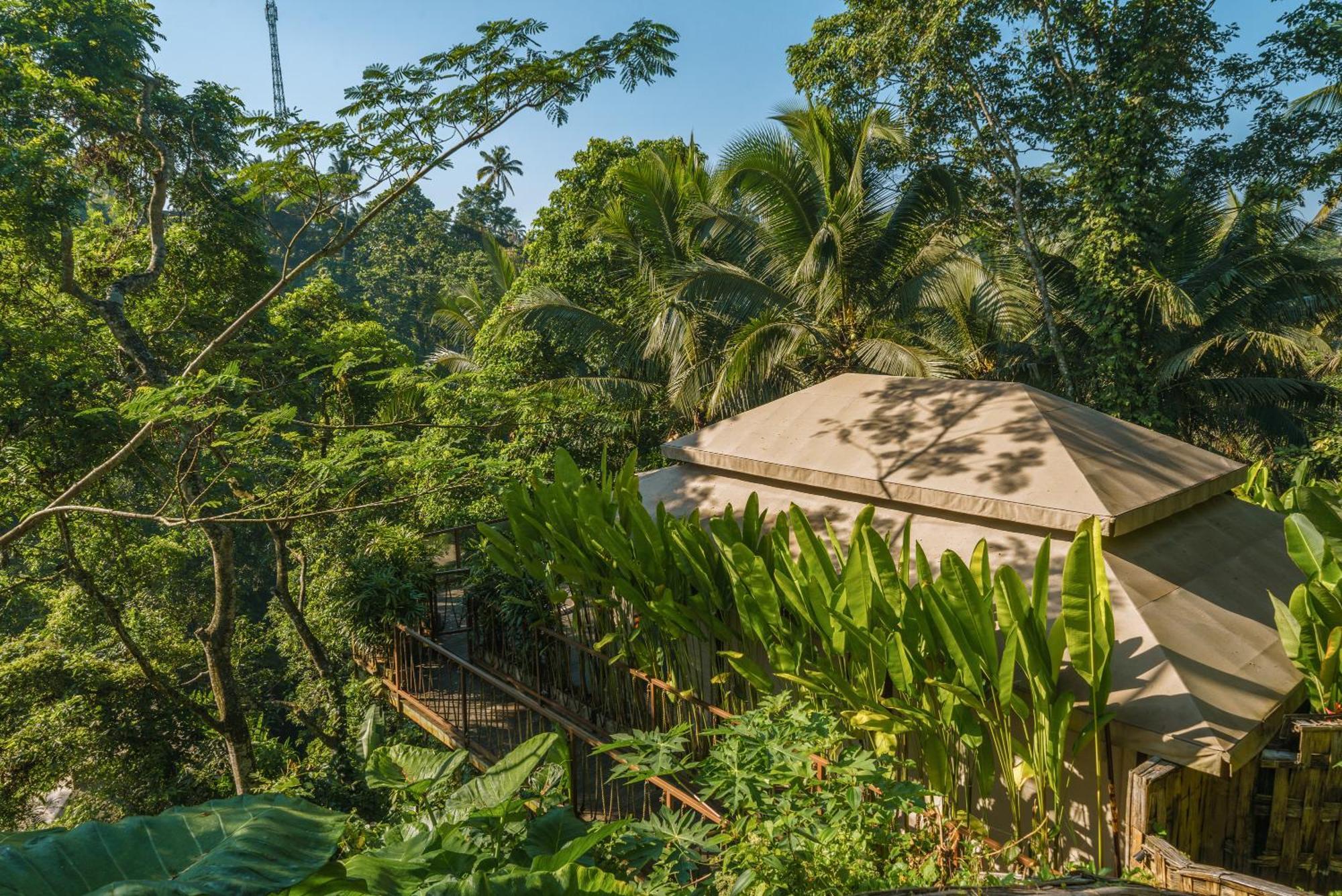 Kanva Ubud Tegallalang  Szoba fotó