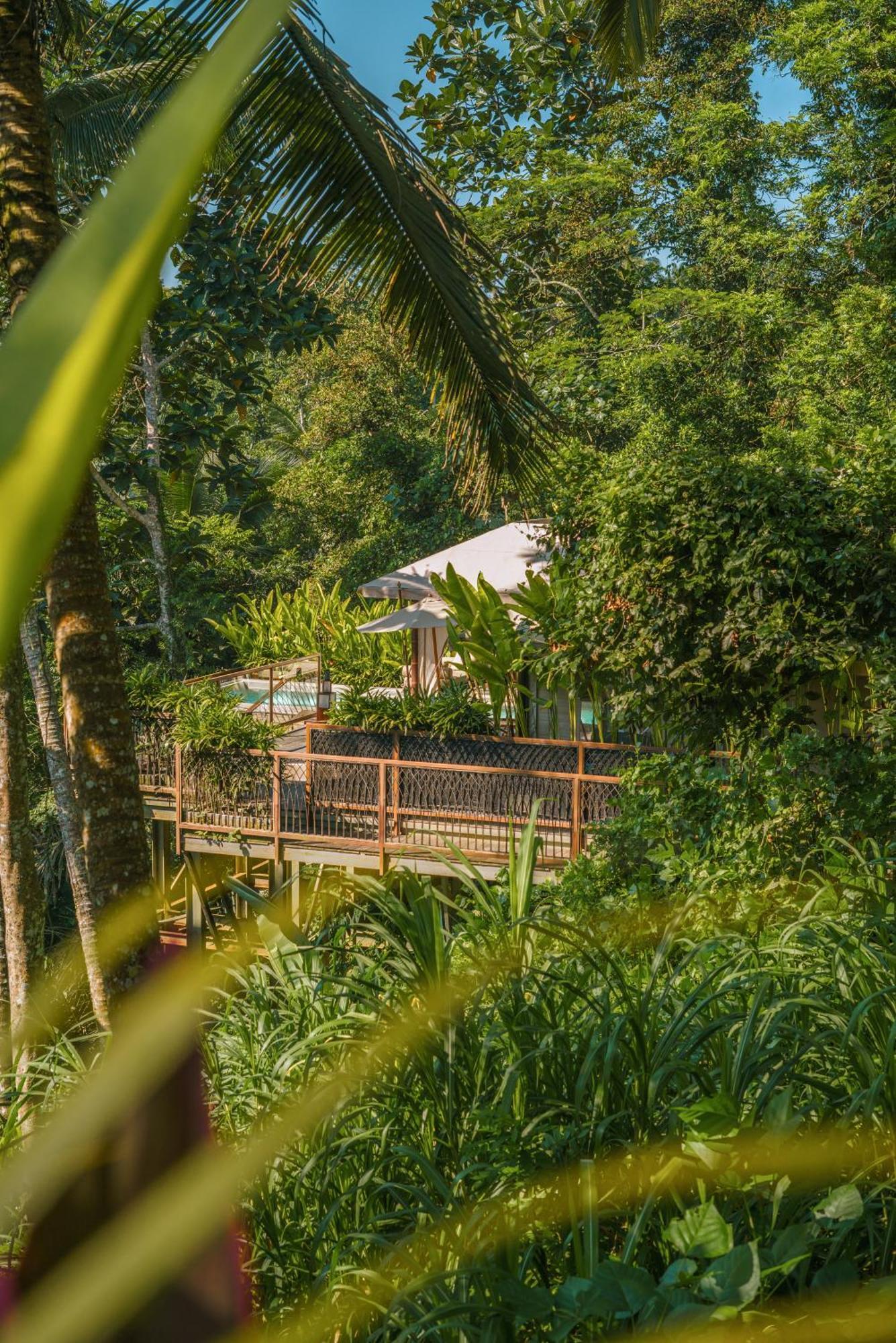 Kanva Ubud Tegallalang  Szoba fotó